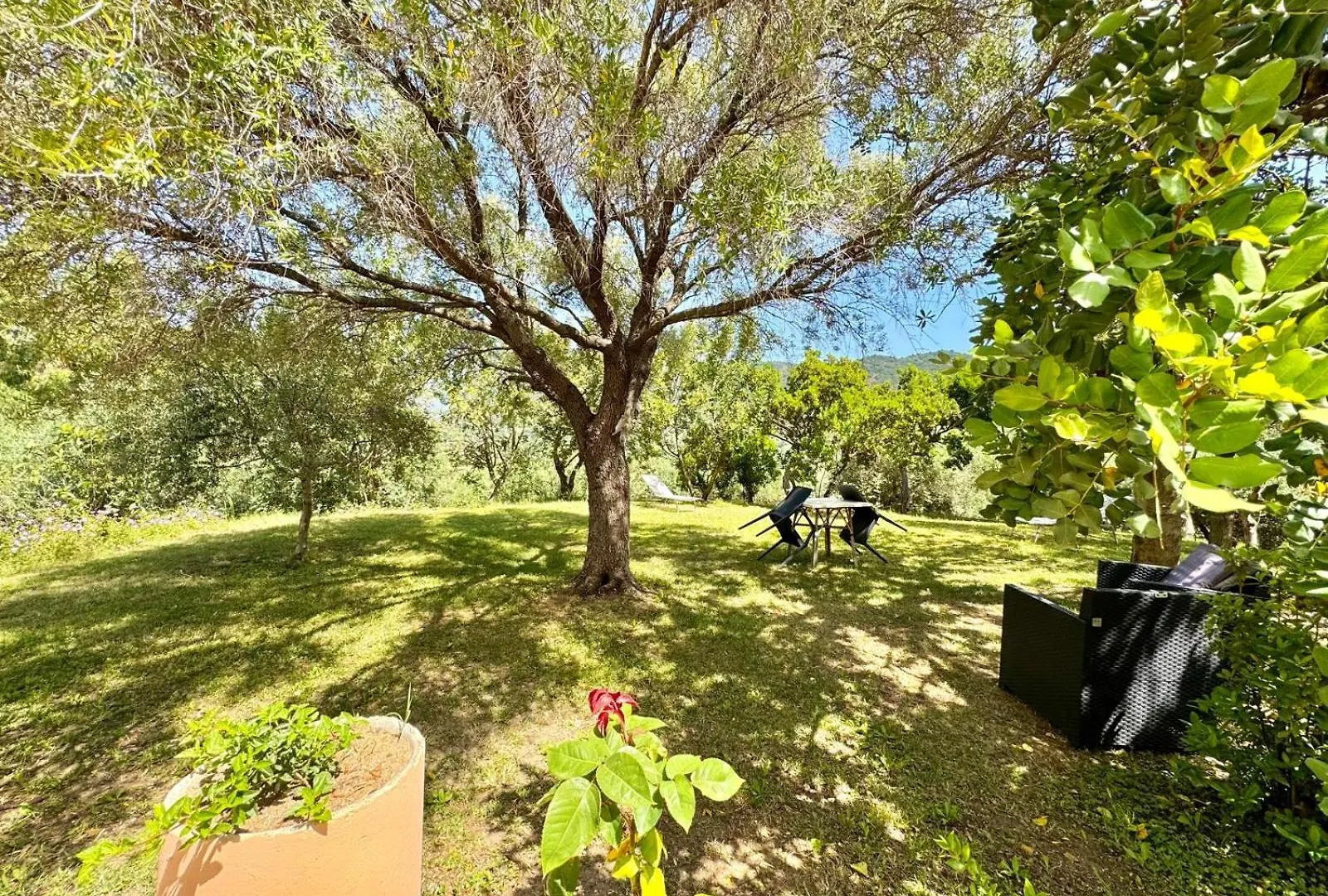 Appartamento Villa With Pool Cardedu
